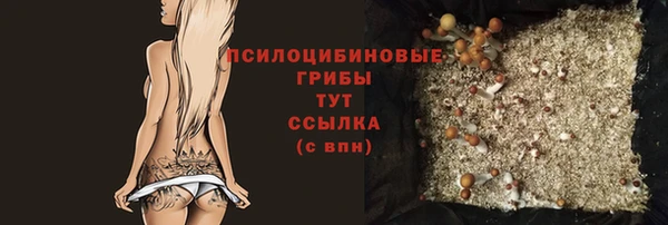 дурь Балахна