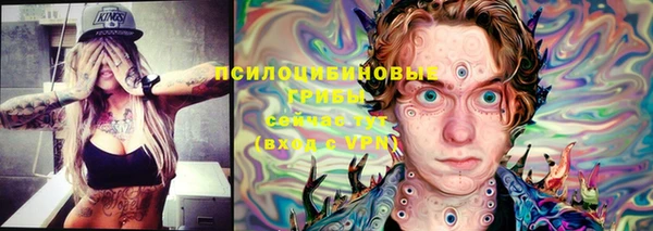 дурь Балахна