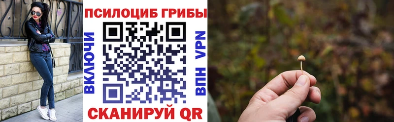 кракен ССЫЛКА  Верхотурье  Псилоцибиновые грибы Cubensis 